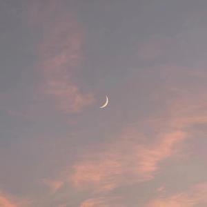 国产精九九❌❌❌网站漫画
